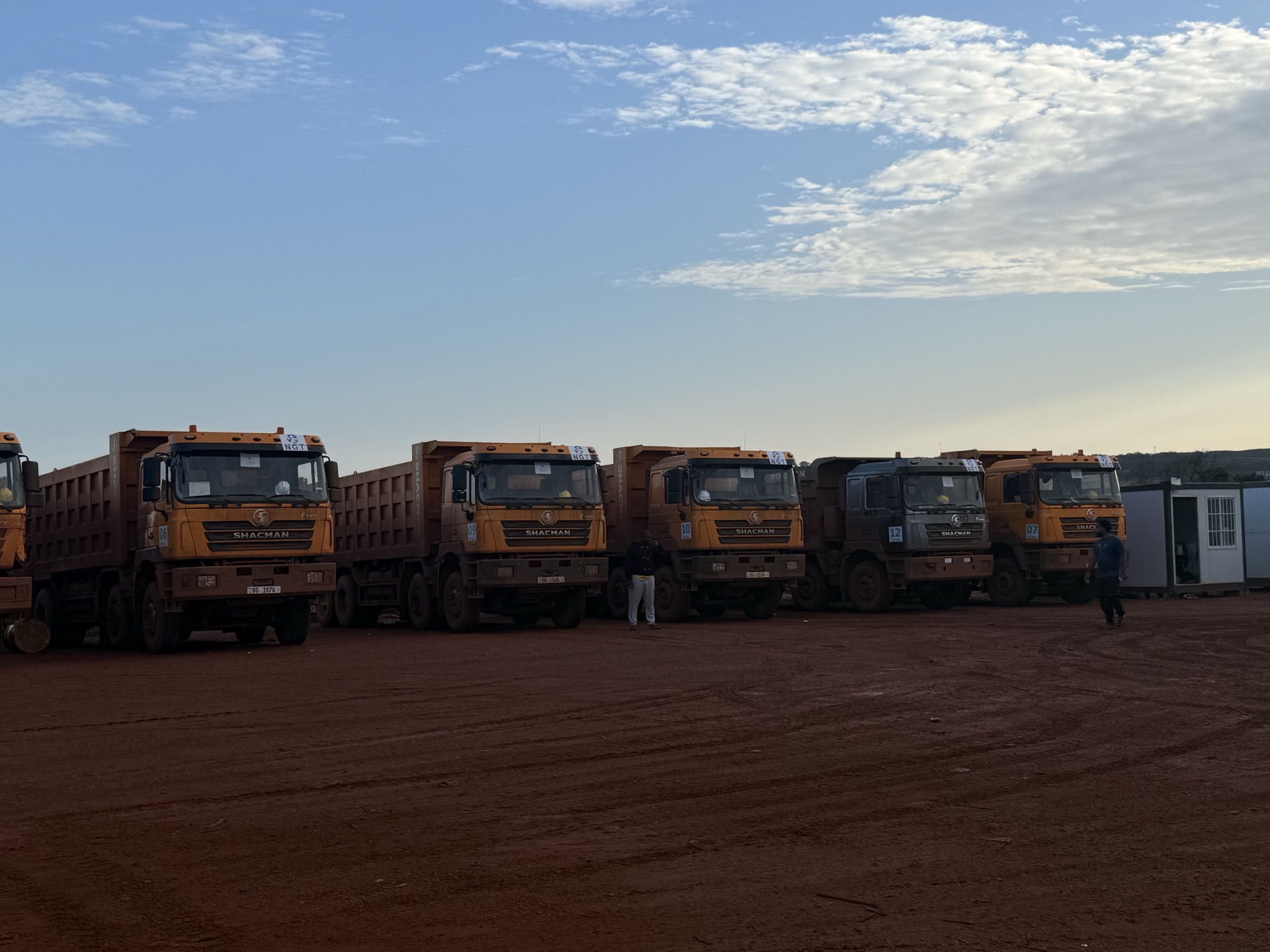 Fleet of trucks lined up as the sun sets