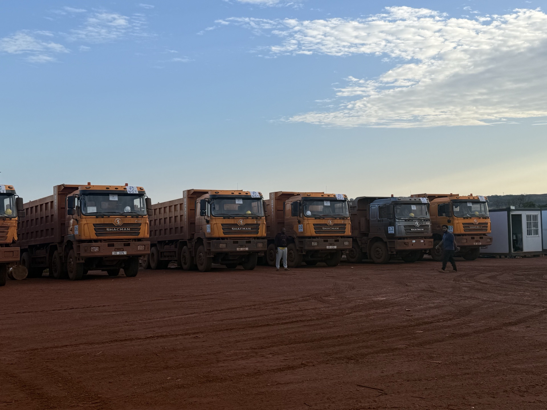 Fleet of trucks lined up in the evening light