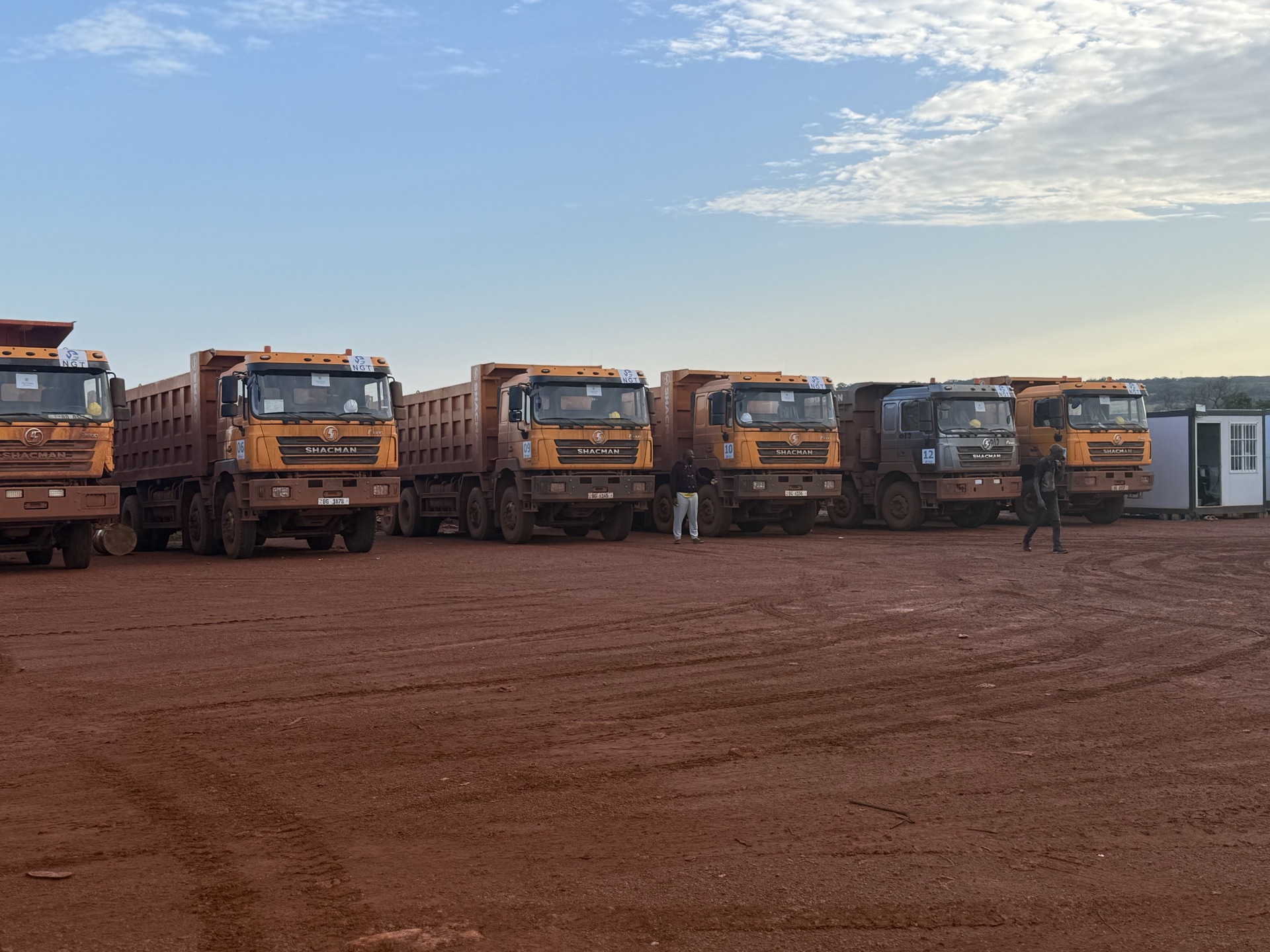 Trucks parked in a row under a clear morning sky