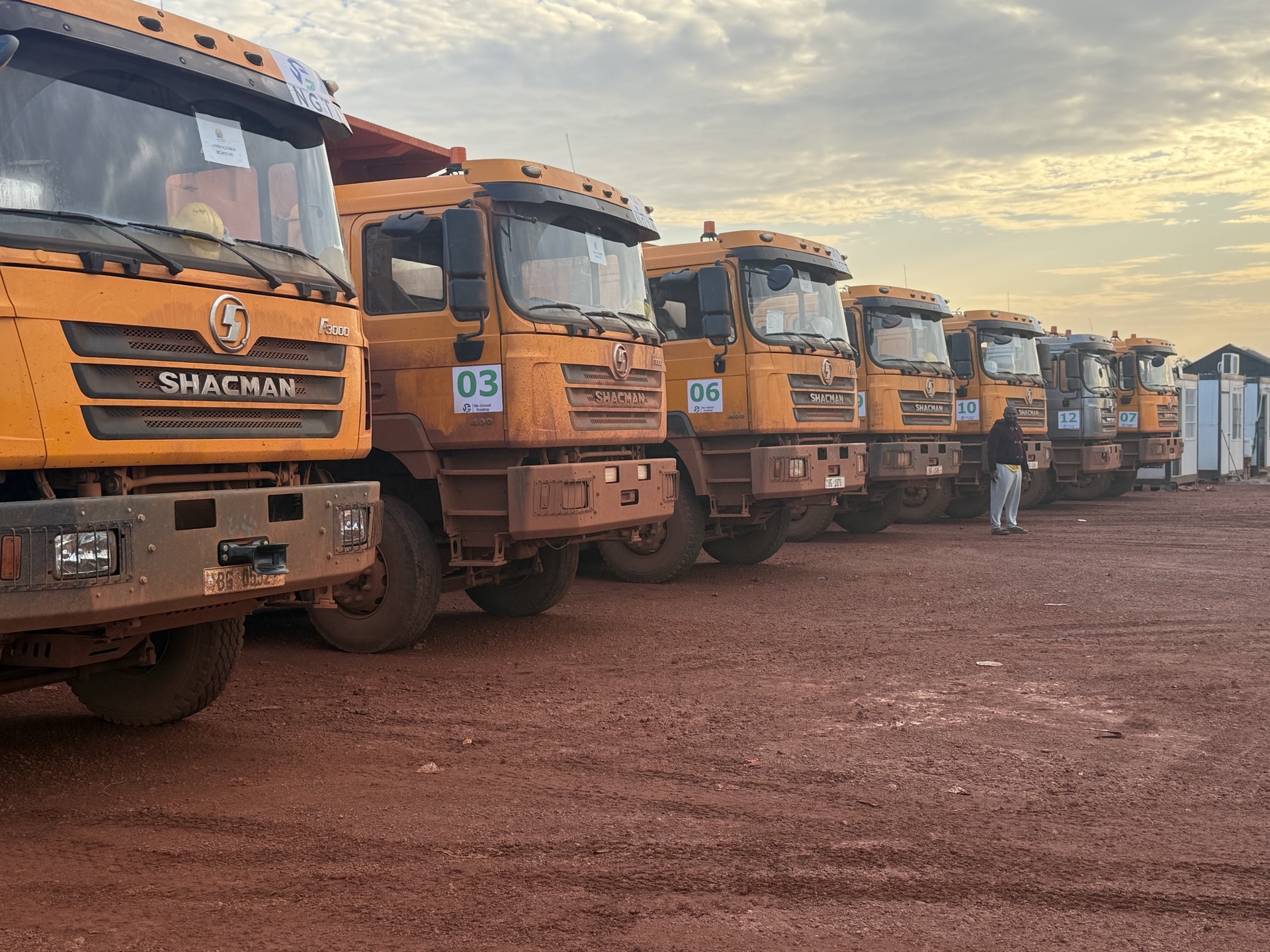 Close-up of numbered truck cabs in a row