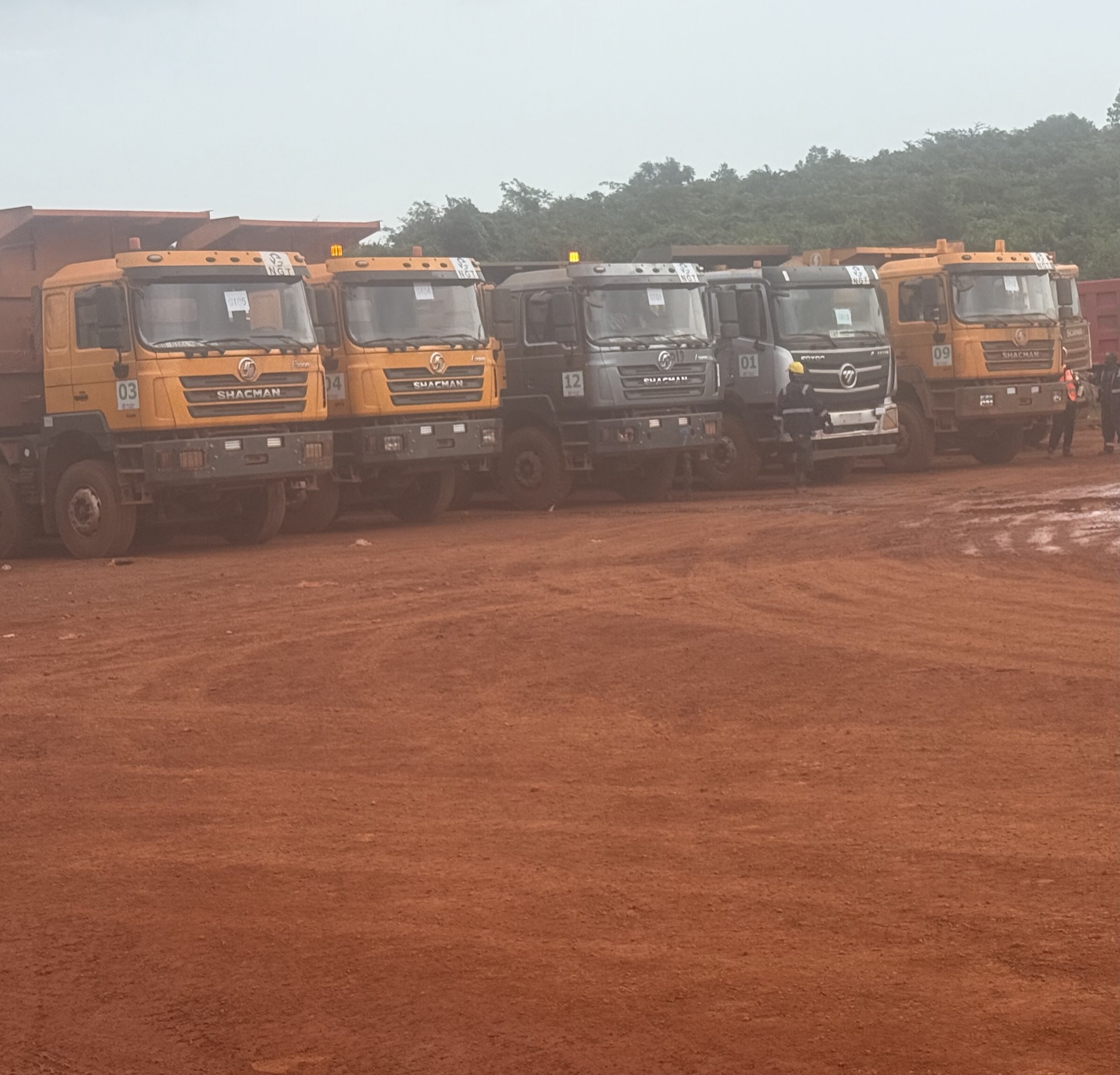 Fleet lineup on an overcast morning