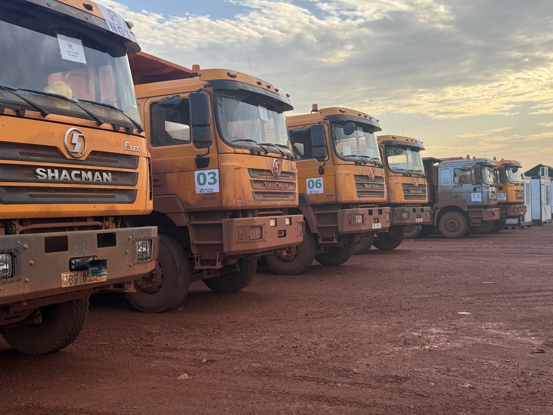 Fleet of numbered trucks lined up at dawn